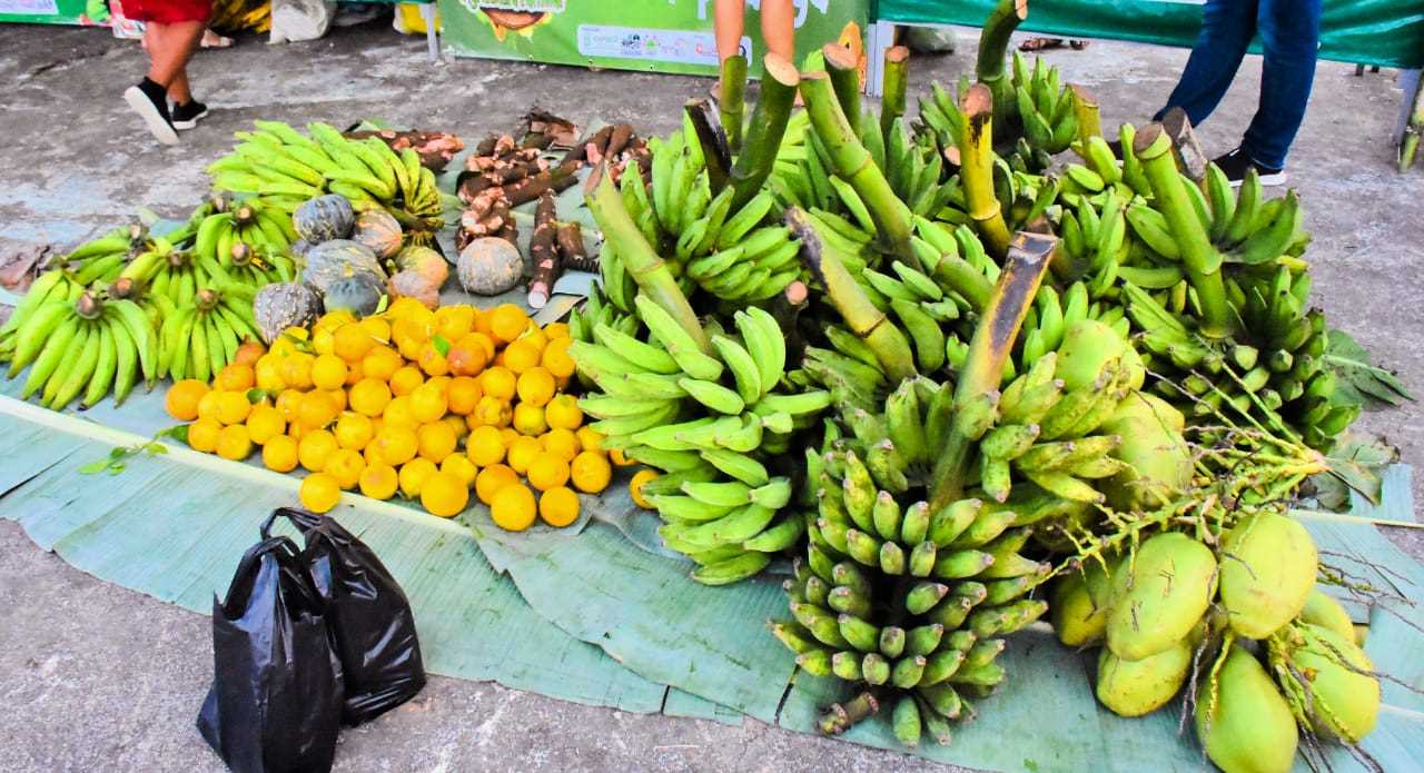 Camacã: 1ª Feira de Artesanato, Agricultura familiar e Gastronomia foi um sucesso